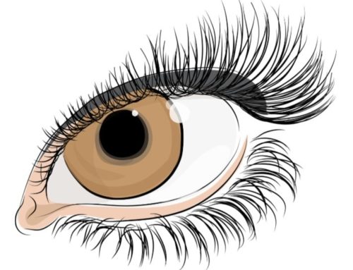 Eyelash Extensions – How will they look?