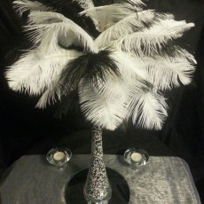 dream dressings feathers 2