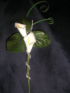 Rosie’s Posy’s Flowers/Rosie’s Flowers