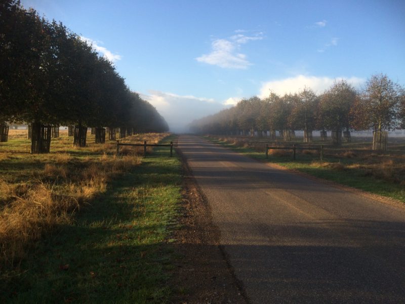 Hampton Court Palace Golf Club