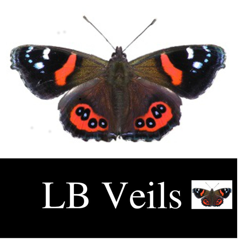 LB Veils