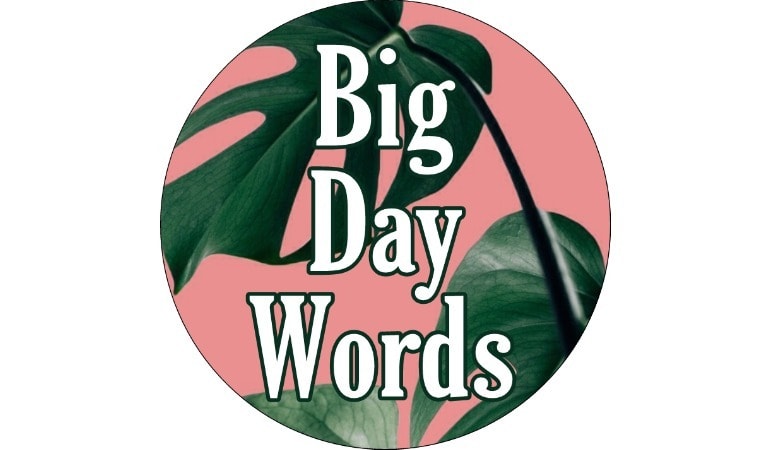 Big Day Words